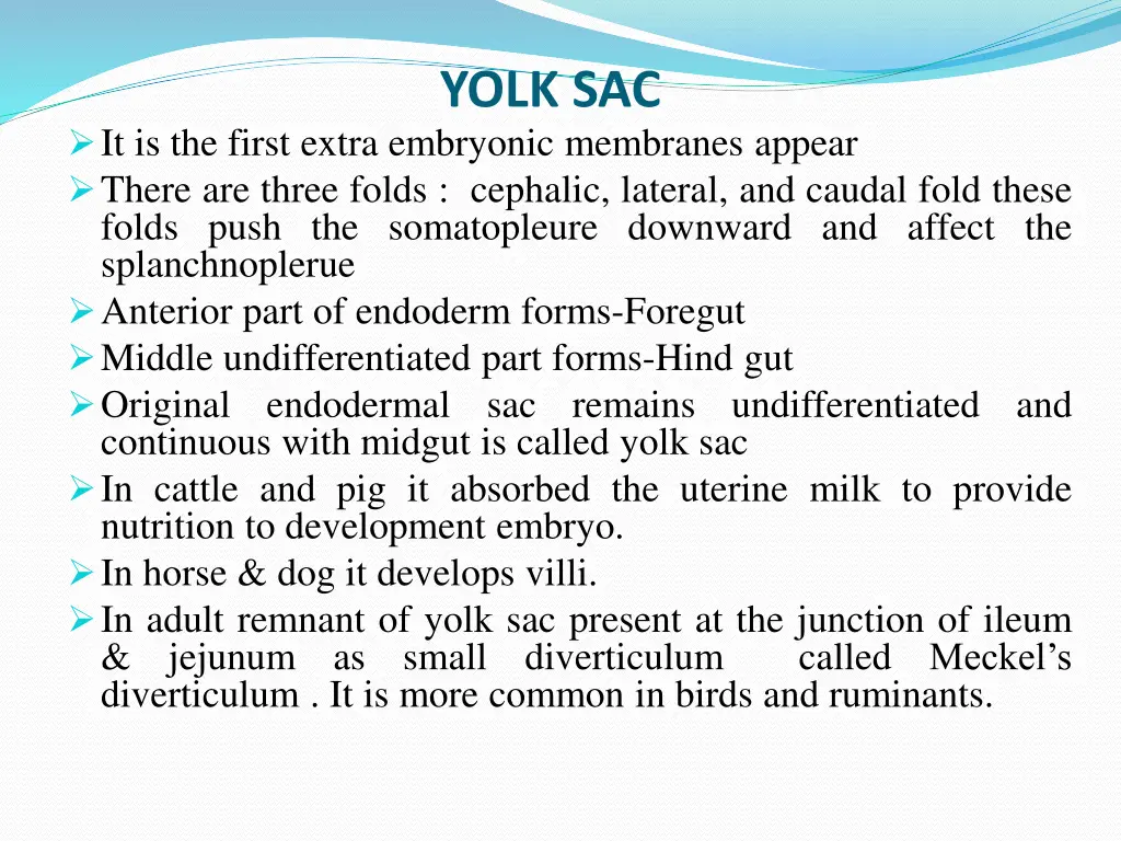 yolk sac