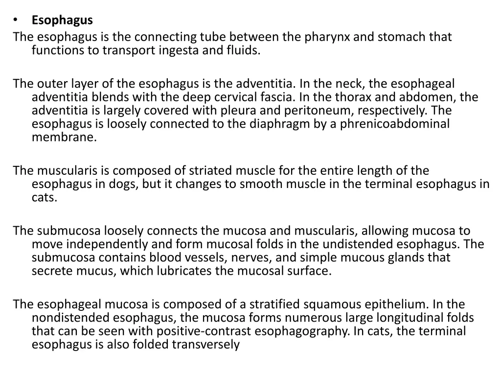 the esophagus is the connecting tube between