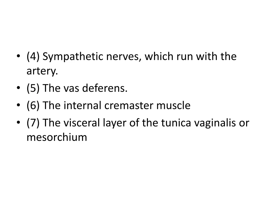 4 sympathetic nerves which run with the artery