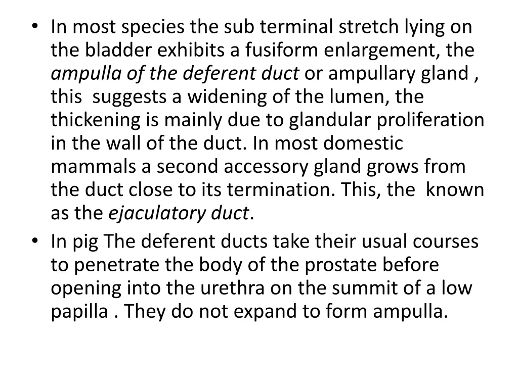in most species the sub terminal stretch lying