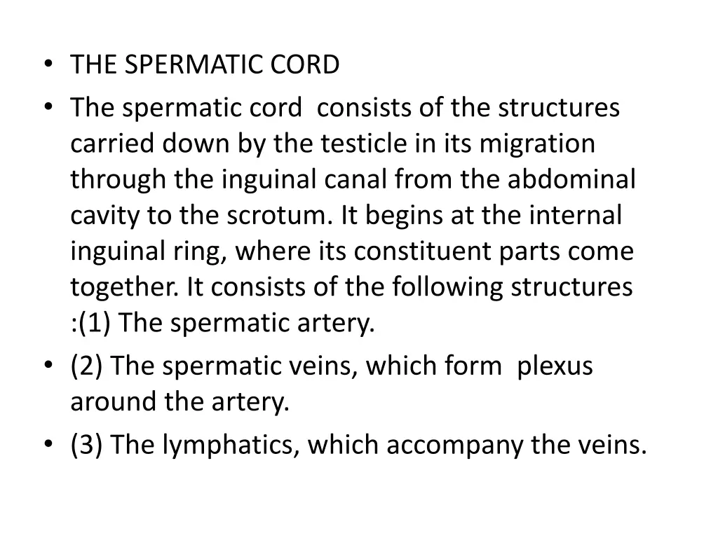 the spermatic cord the spermatic cord consists