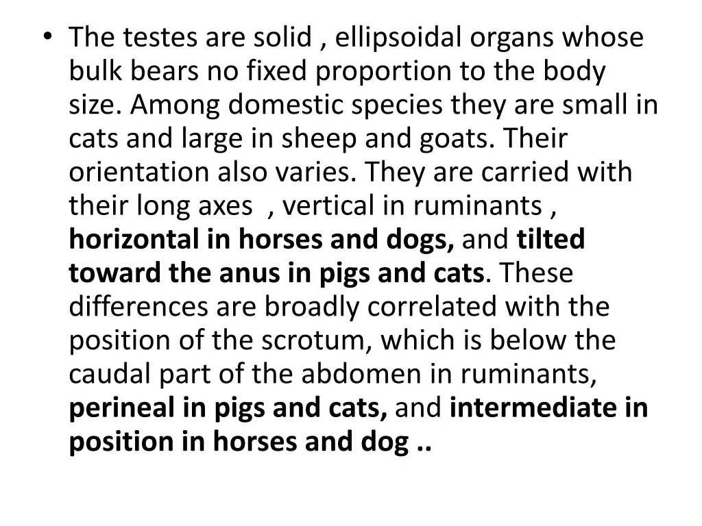 the testes are solid ellipsoidal organs whose