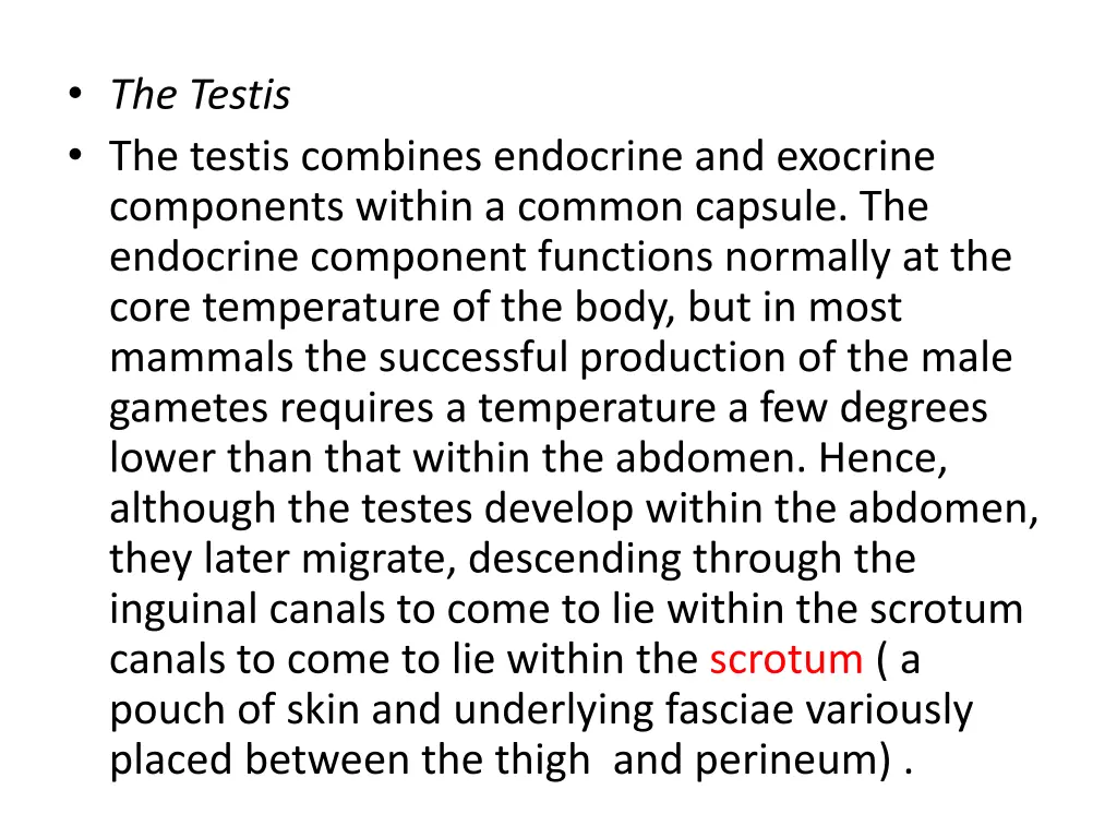 the testis the testis combines endocrine