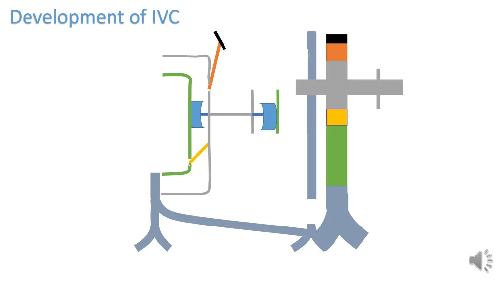 development of ivc 1