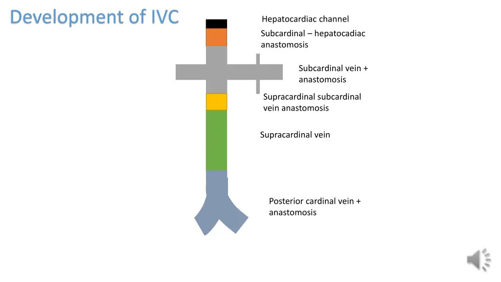development of ivc 3
