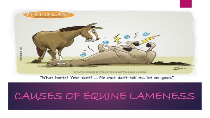 causes of equine lameness causes of equine