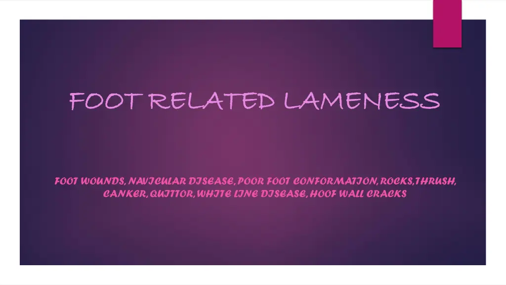 foot related lameness foot related lameness