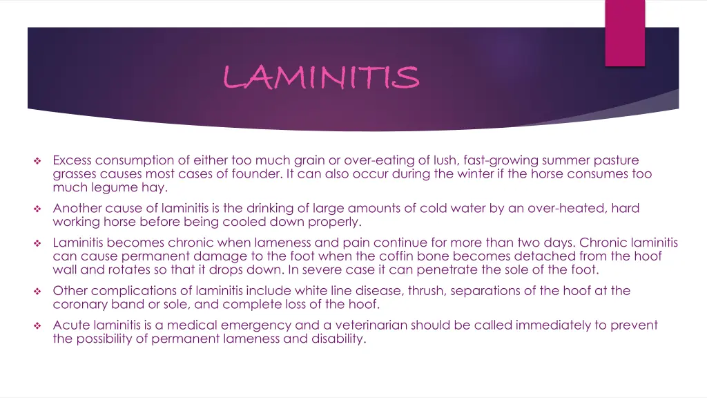laminitis laminitis 1