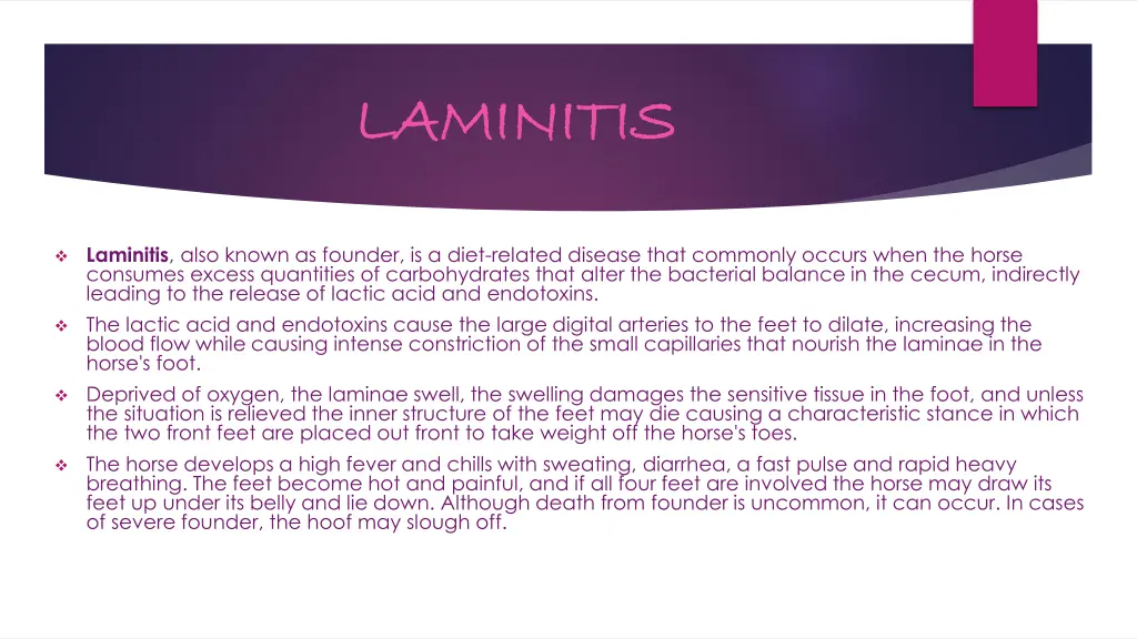 laminitis laminitis