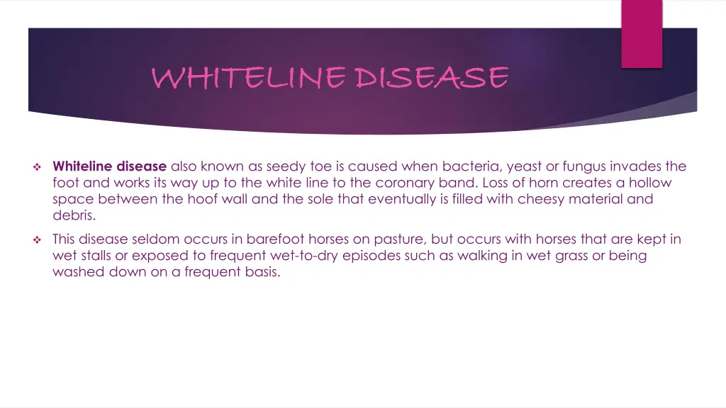 whiteline disease whiteline disease
