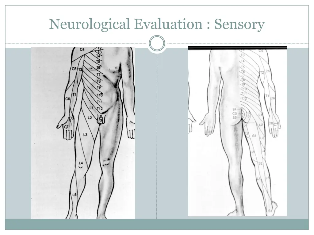 neurological evaluation sensory
