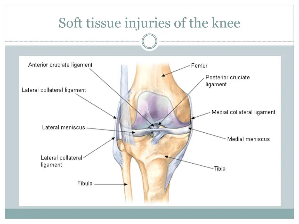 soft tissue injuries of the knee