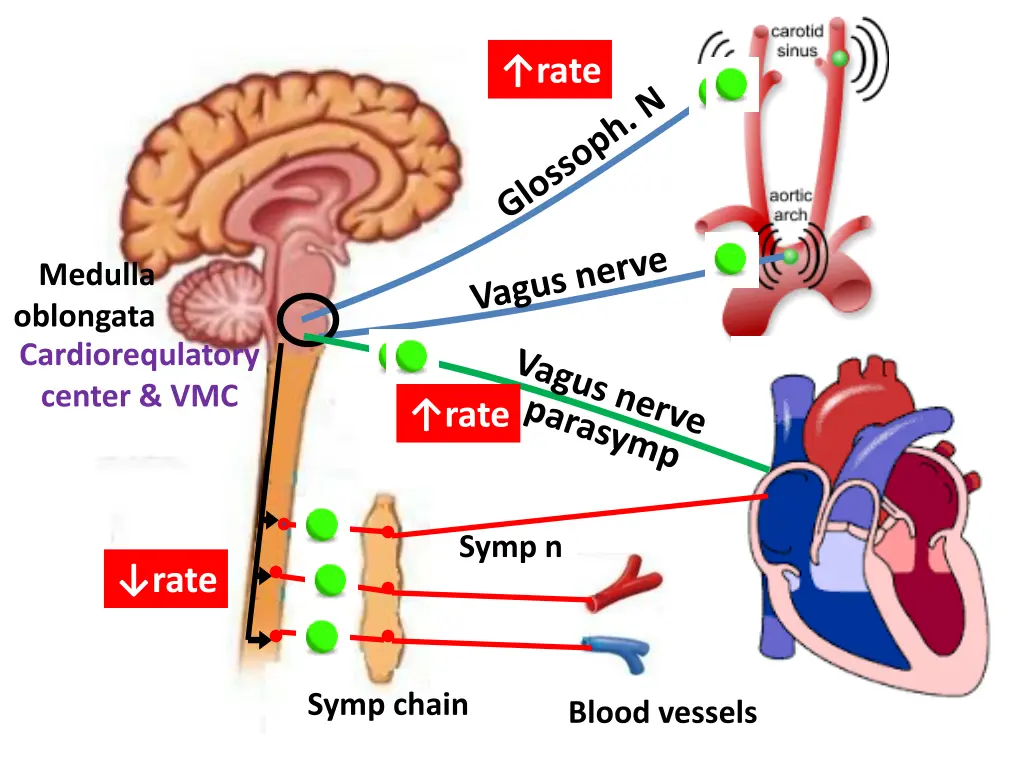 slide6