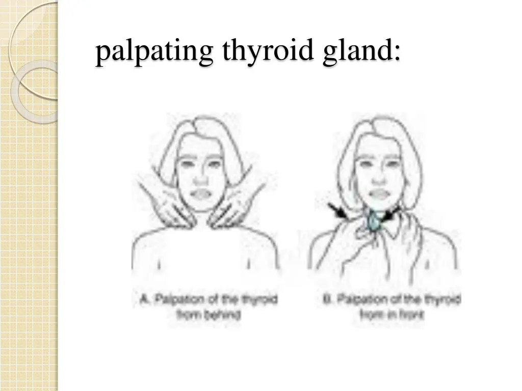palpating thyroid gland