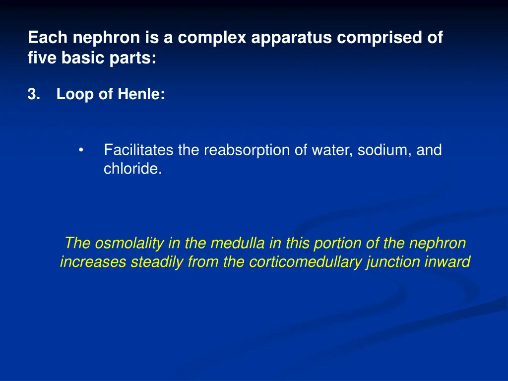 each nephron is a complex apparatus comprised 2
