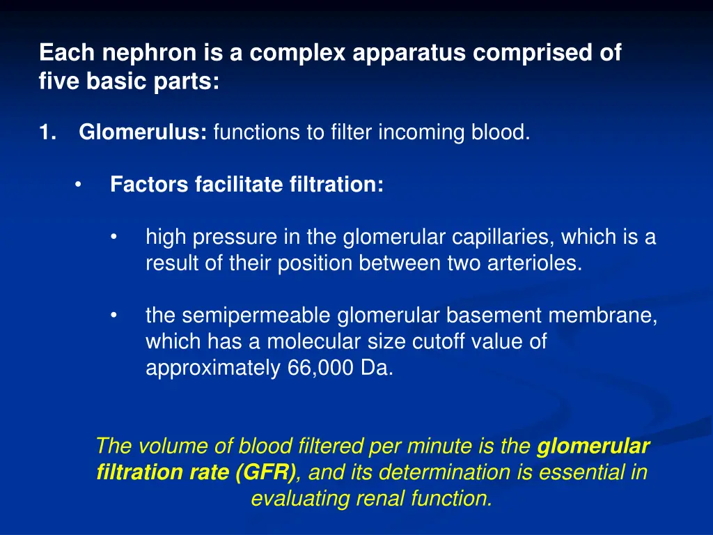 each nephron is a complex apparatus comprised