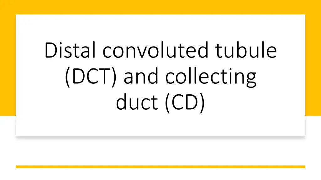 distal convoluted tubule dct and collecting duct