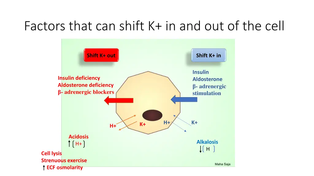 factors that can shift k in and out of the cell