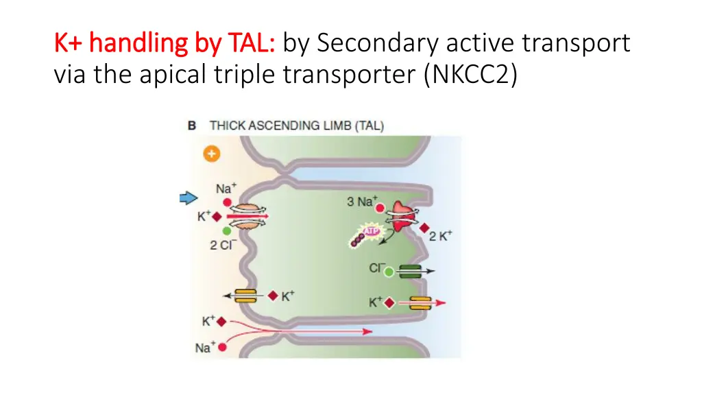 k handling by tal k handling by tal by secondary