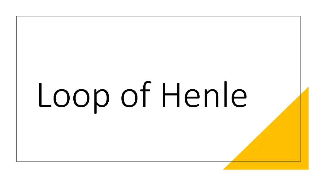 loop of henle
