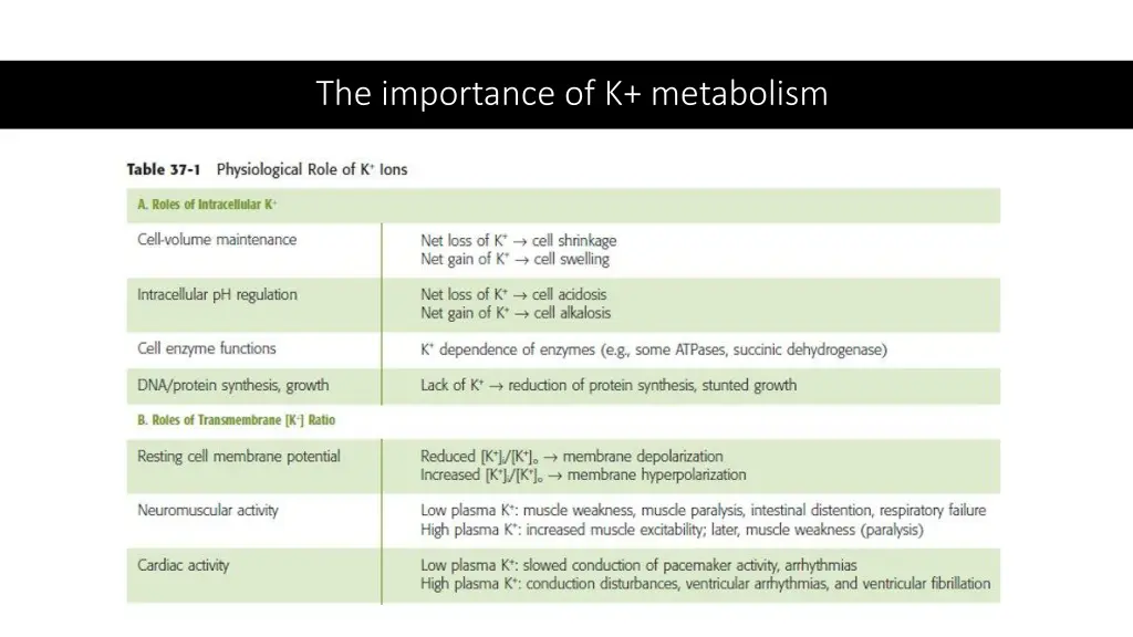 the importance of k metabolism