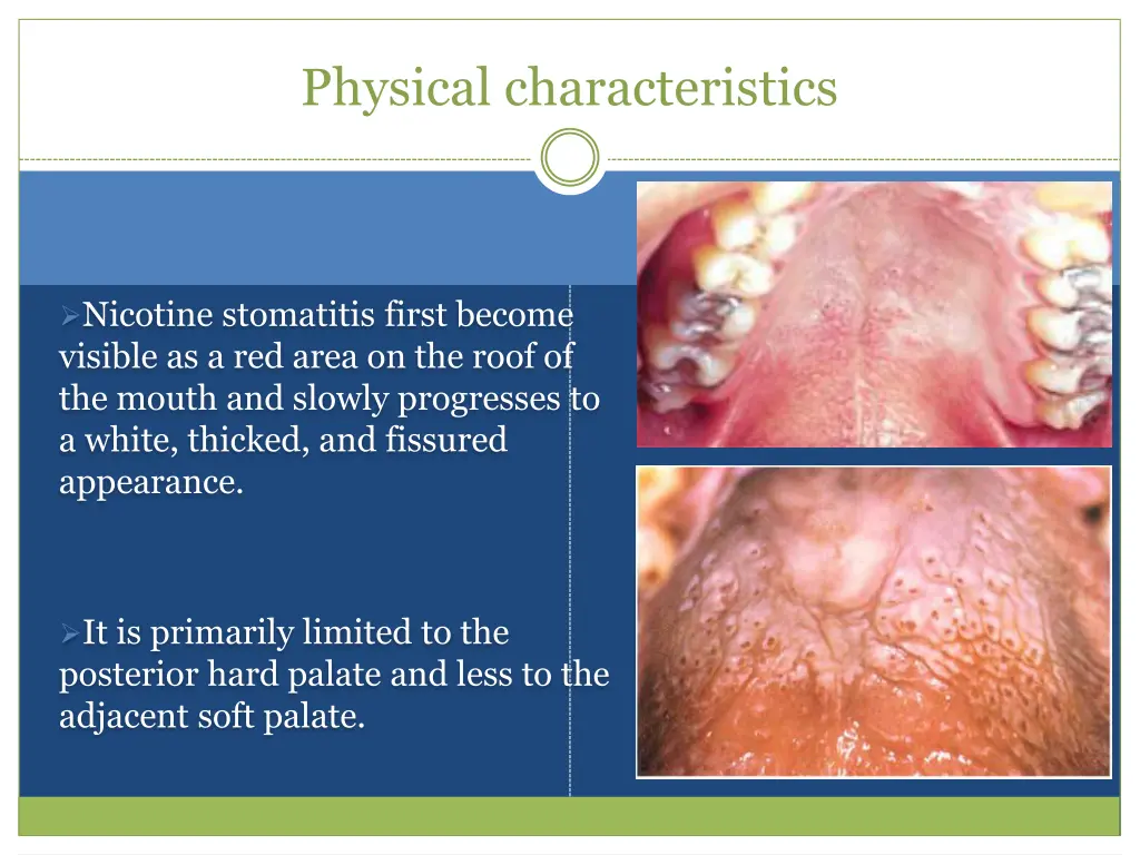 physical characteristics