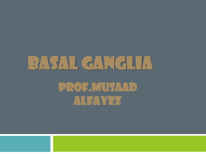 basal ganglia basal ganglia