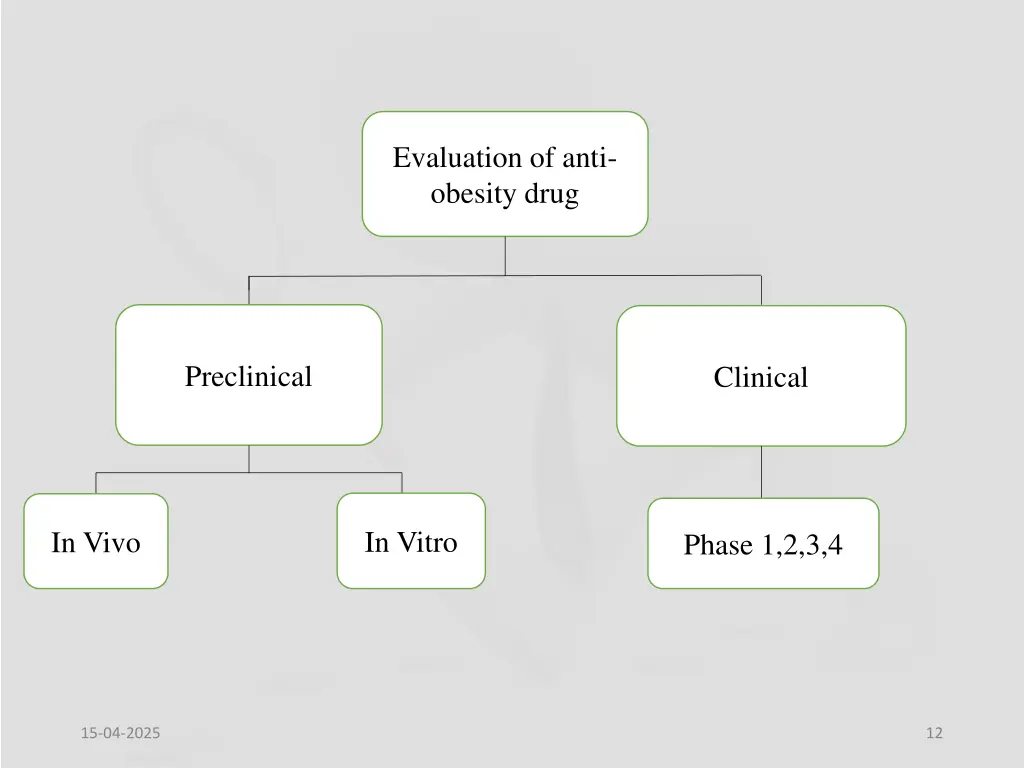 evaluation of anti obesity drug