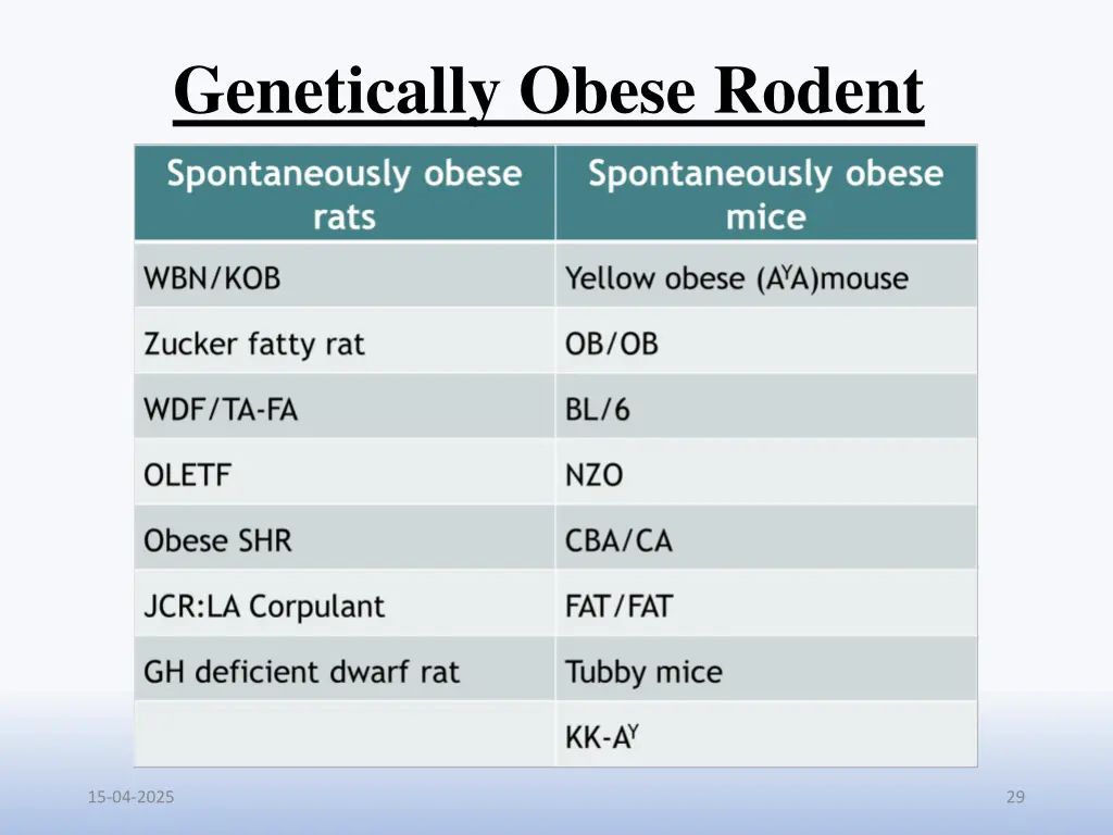 genetically obese rodent 1