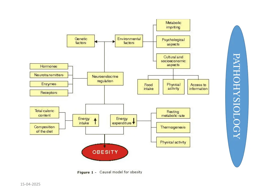pathohysiology