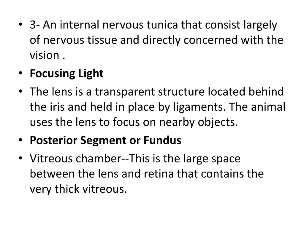 3 an internal nervous tunica that consist largely