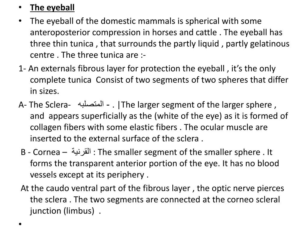 the eyeball the eyeball of the domestic mammals