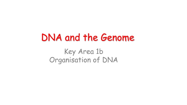 dna and the genome key area 1b organisation of dna