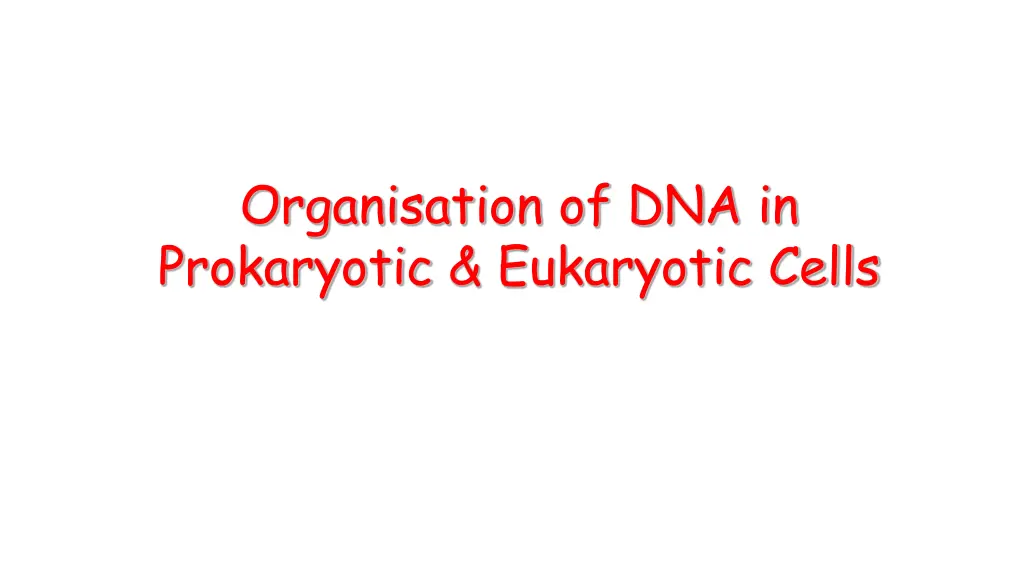 organisation of dna in prokaryotic eukaryotic