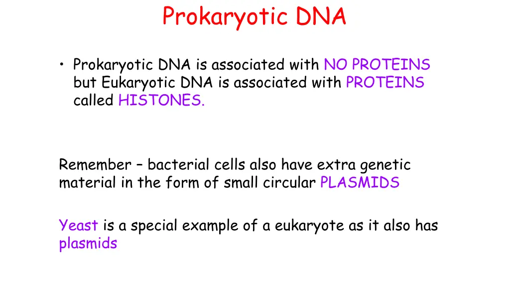 prokaryotic dna 1