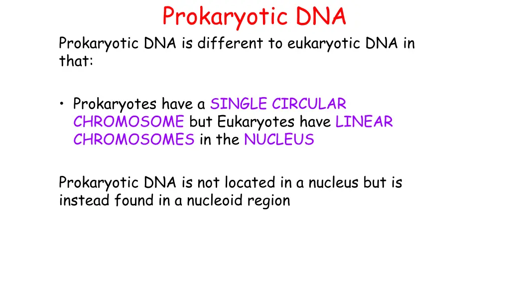 prokaryotic dna