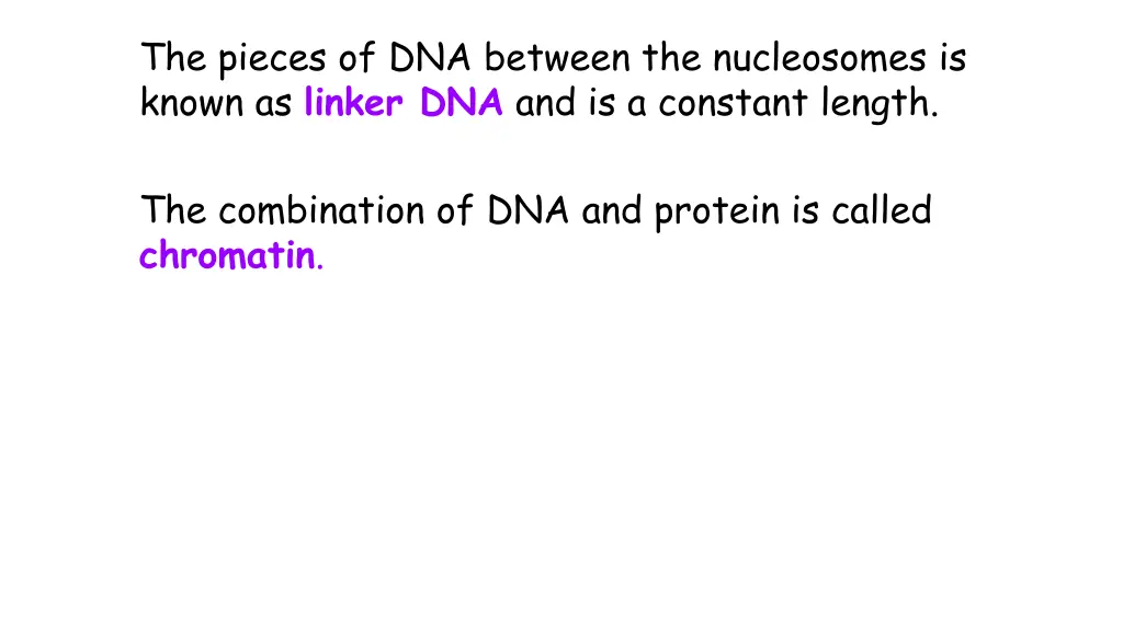 the pieces of dna between the nucleosomes