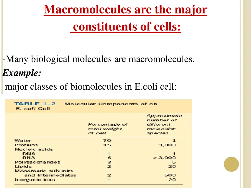 macromolecules are the major constituents of cells