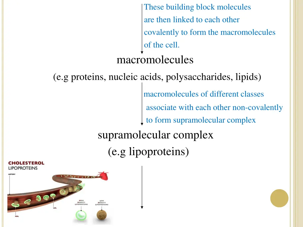 these building block molecules are then linked