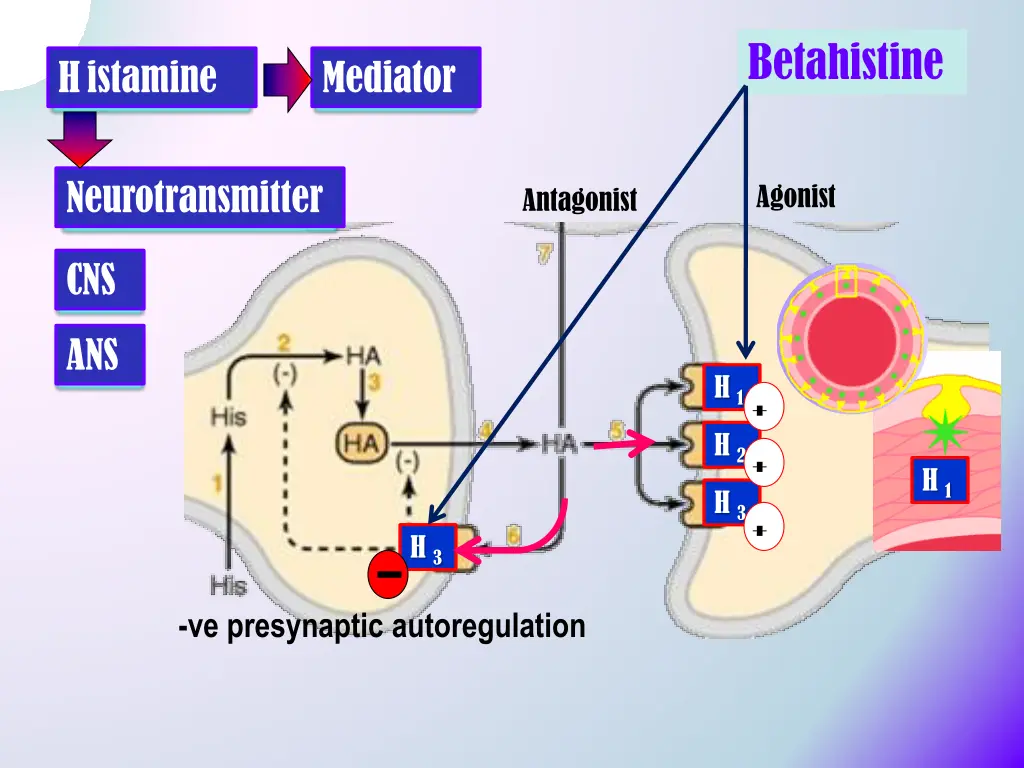 betahistine