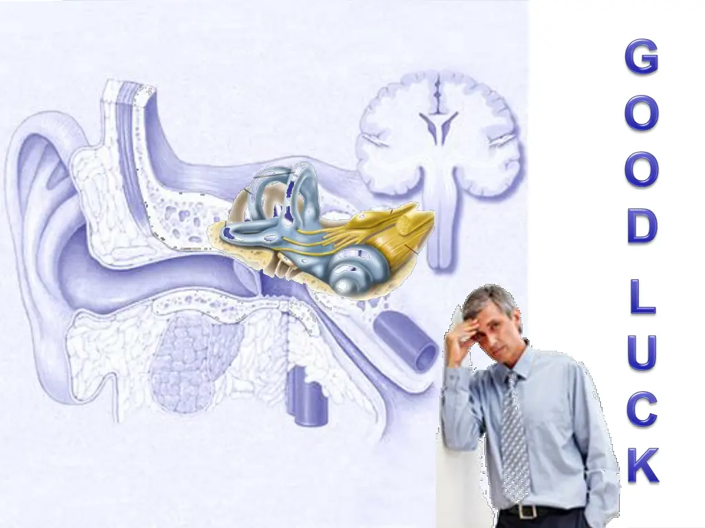 slide16