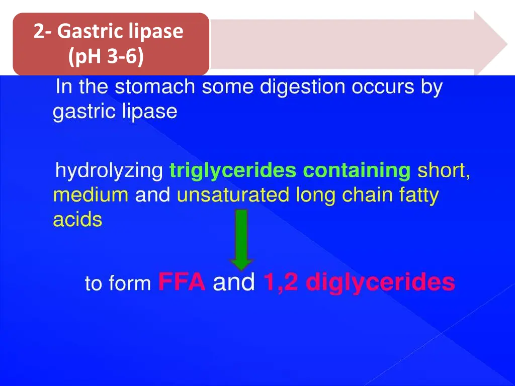 2 gastric lipase ph 3 6