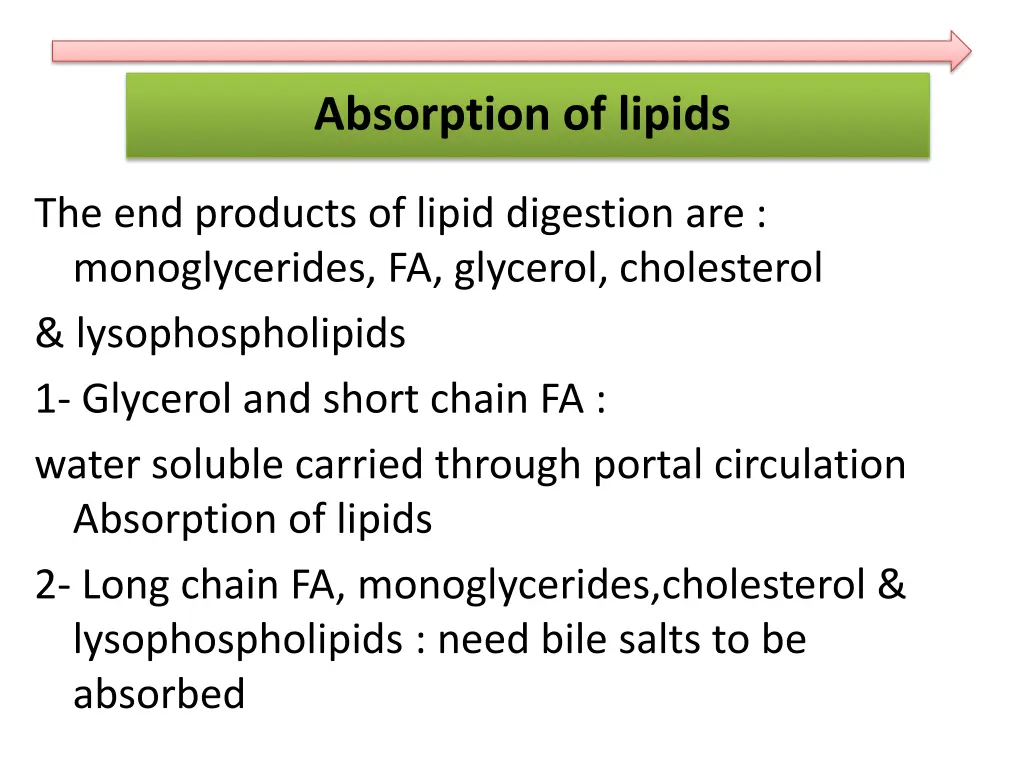 absorption of lipids