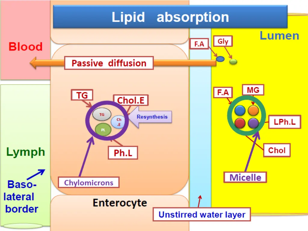 slide14
