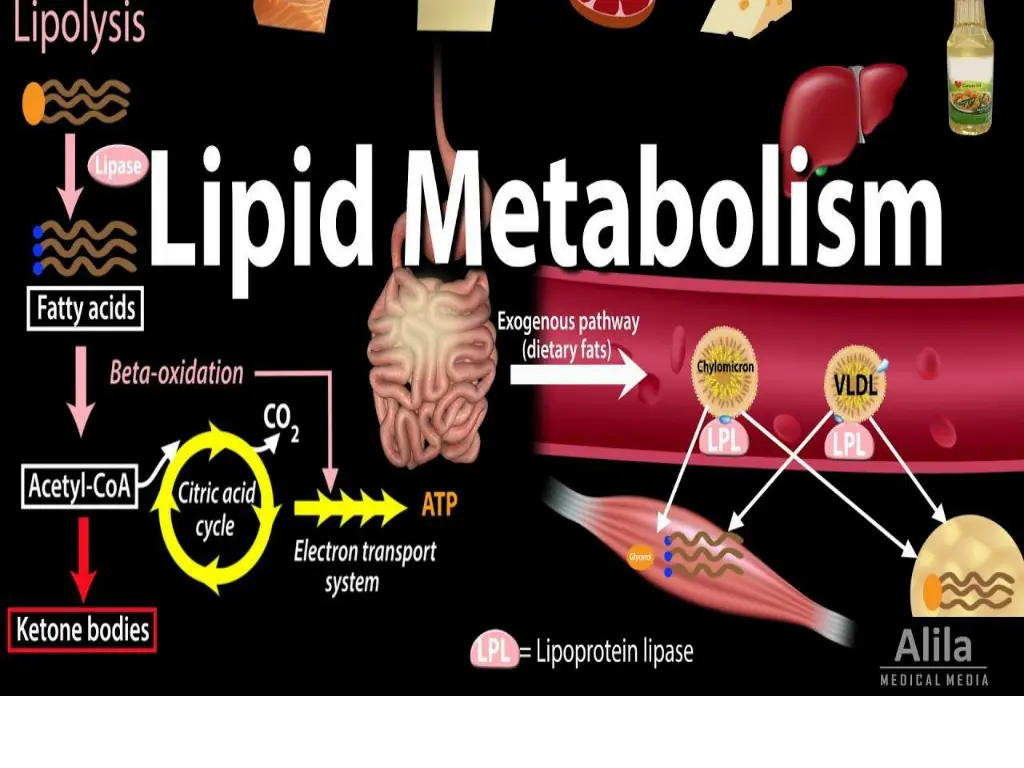slide16