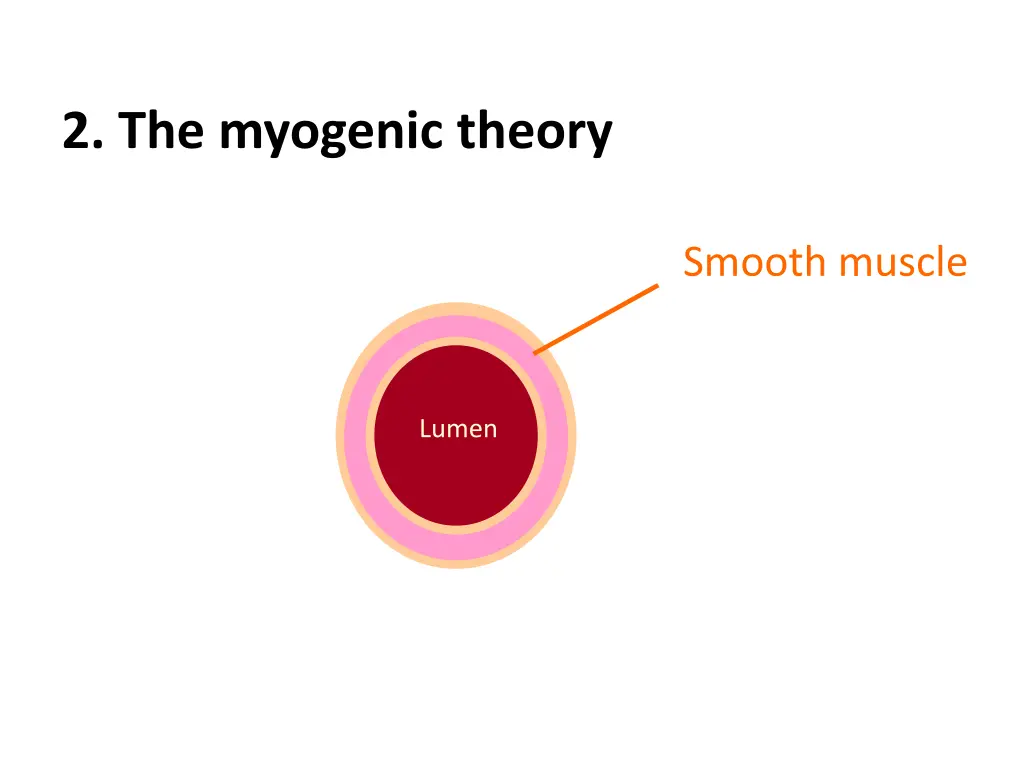 2 the myogenic theory