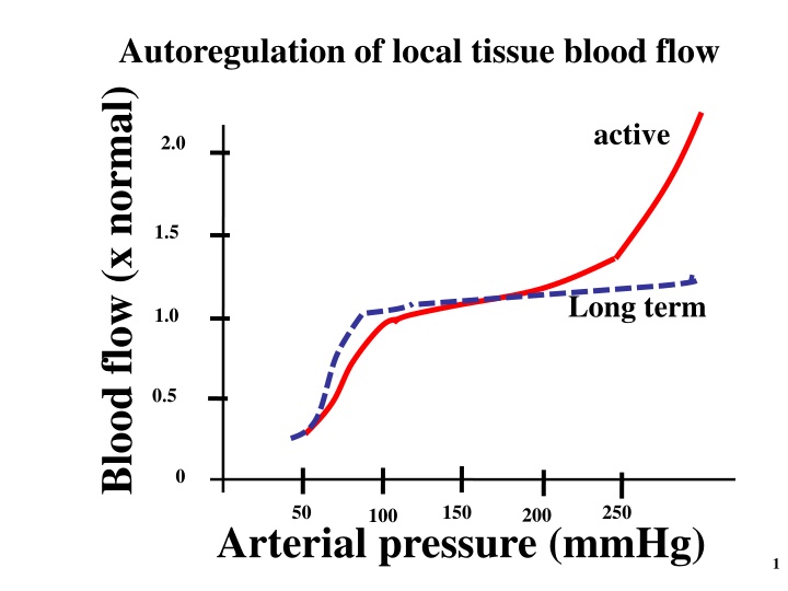 autoregulation of local tissue blood flow