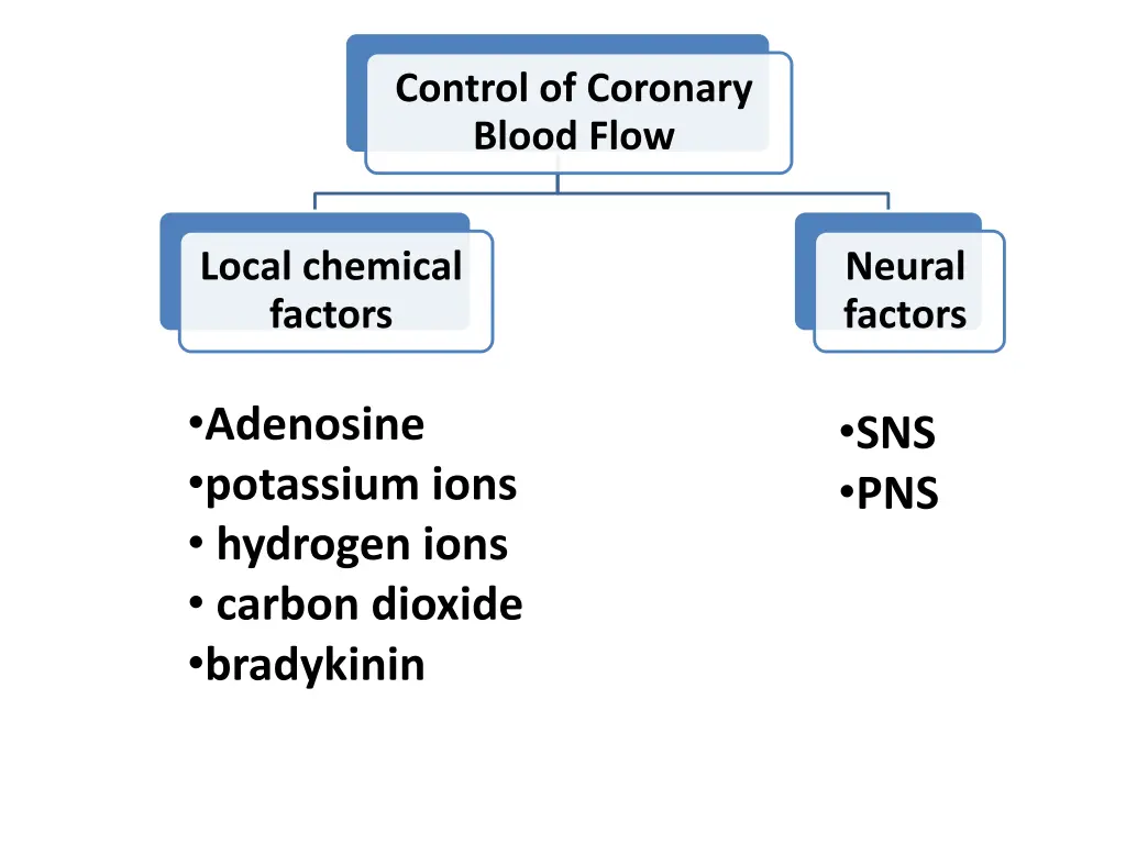 control of coronary blood flow