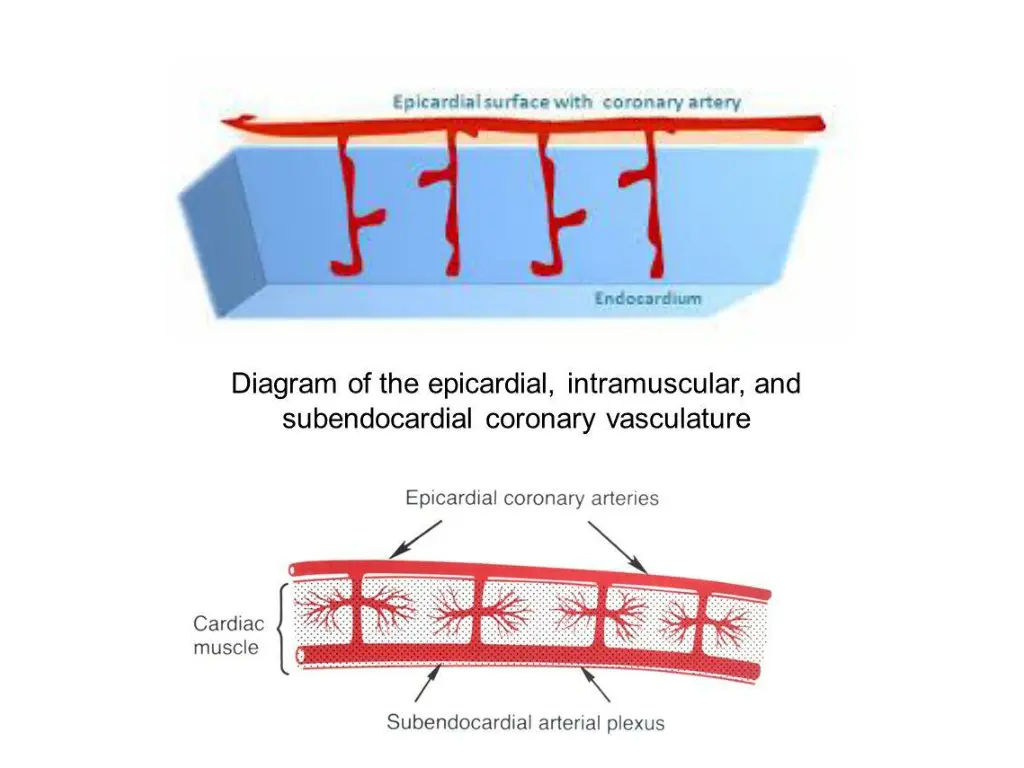 slide6