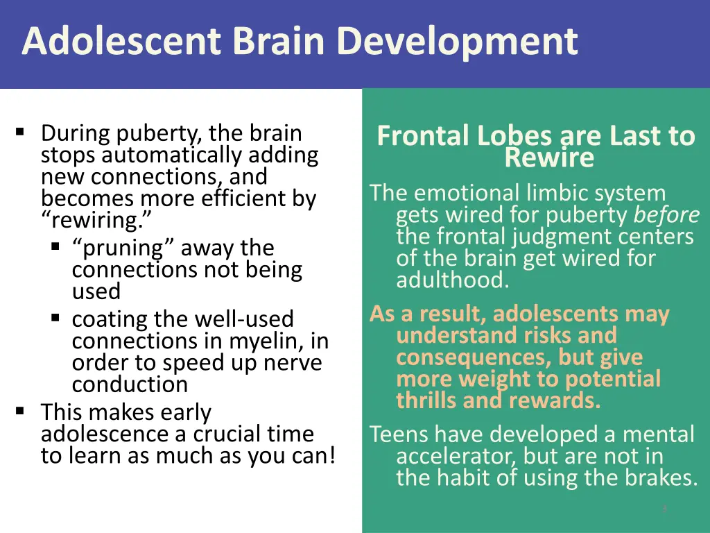 adolescent brain development
